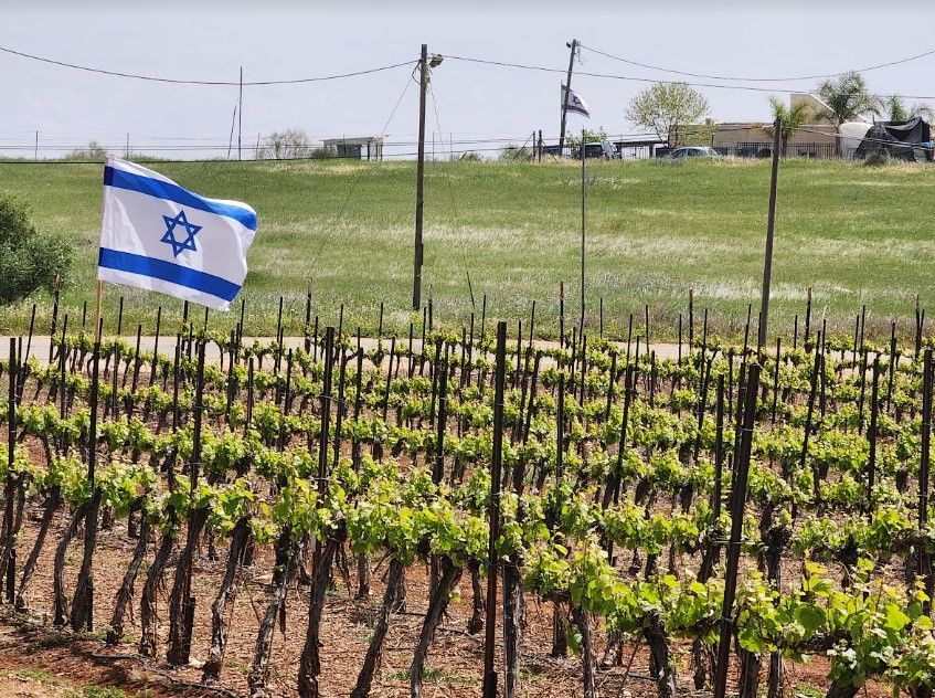 צילום מסך 2023-04-05 135849.jpg