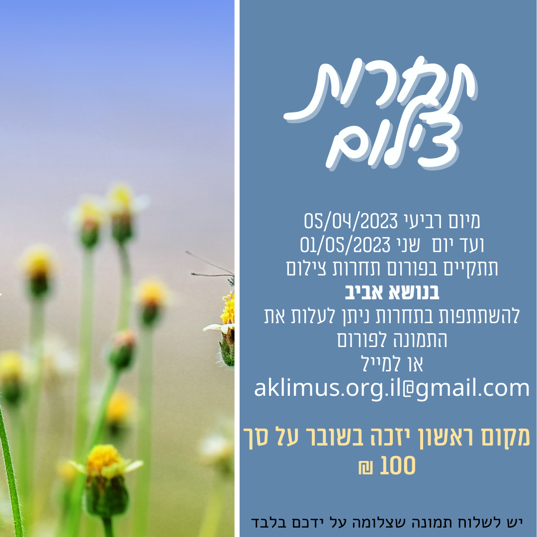 הזמנה למסיבת יום הולדת פוסט אינסטגרם צבעוני קרם .png