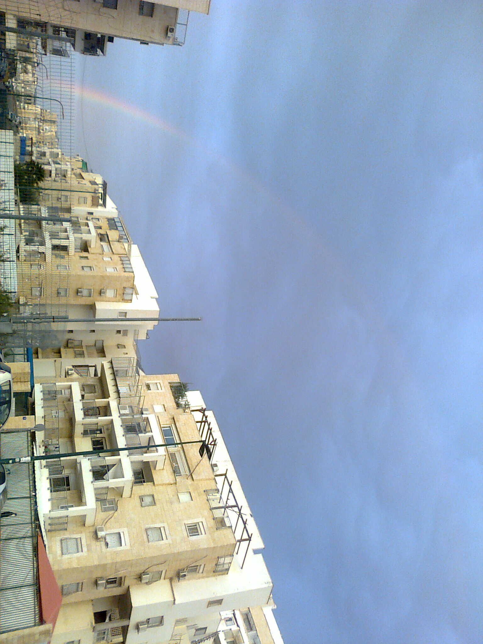 תצלום0321_optimized.jpg