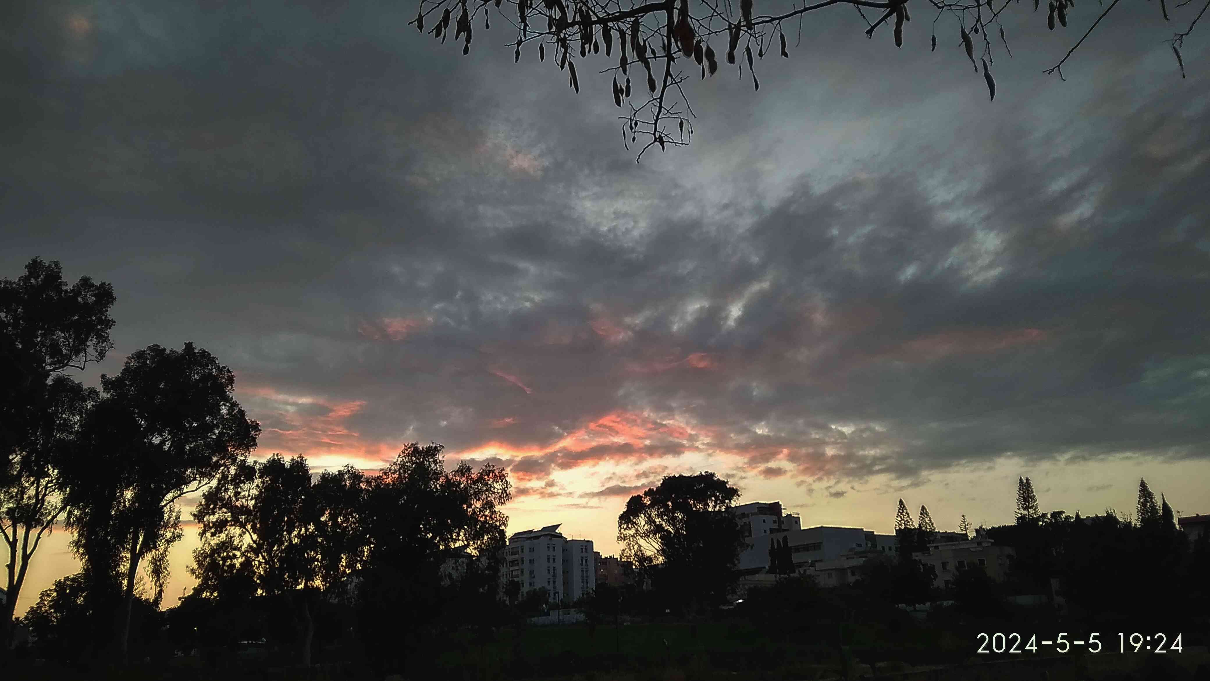 img_20240505_201457_optimized.jpg