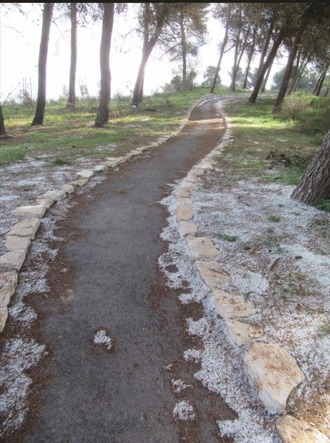 צילום מסך 2025-02-25 005800.jpg