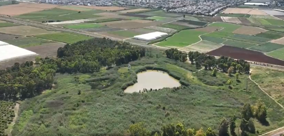 צילום מסך 2025-04-30 015112.png