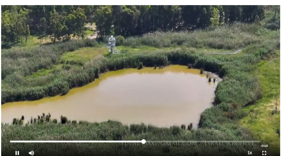 צילום מסך 2025-04-30 015120.png