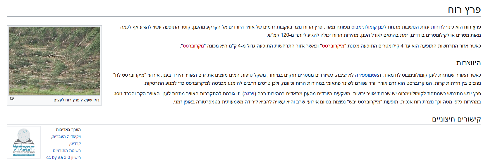 צילום מסך 2025-04-30 150219.png