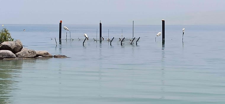 כנרת עבר-8.jpg