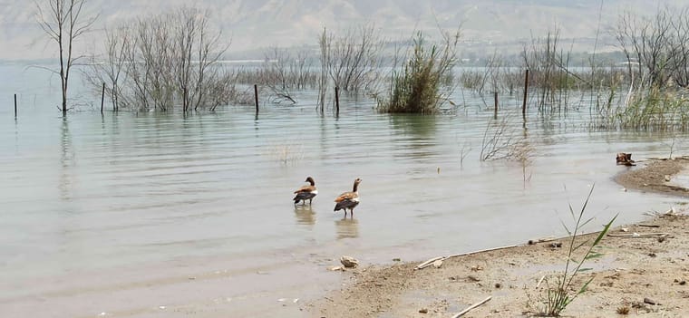 כנרת עבר- 5.jpg