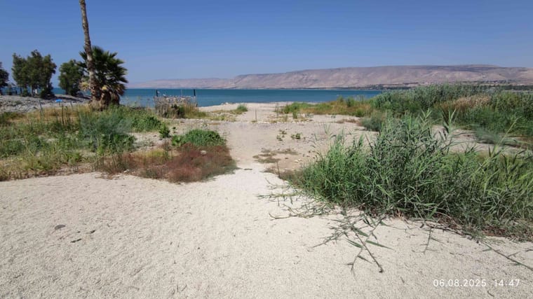 כנרת הווה 9.jpg