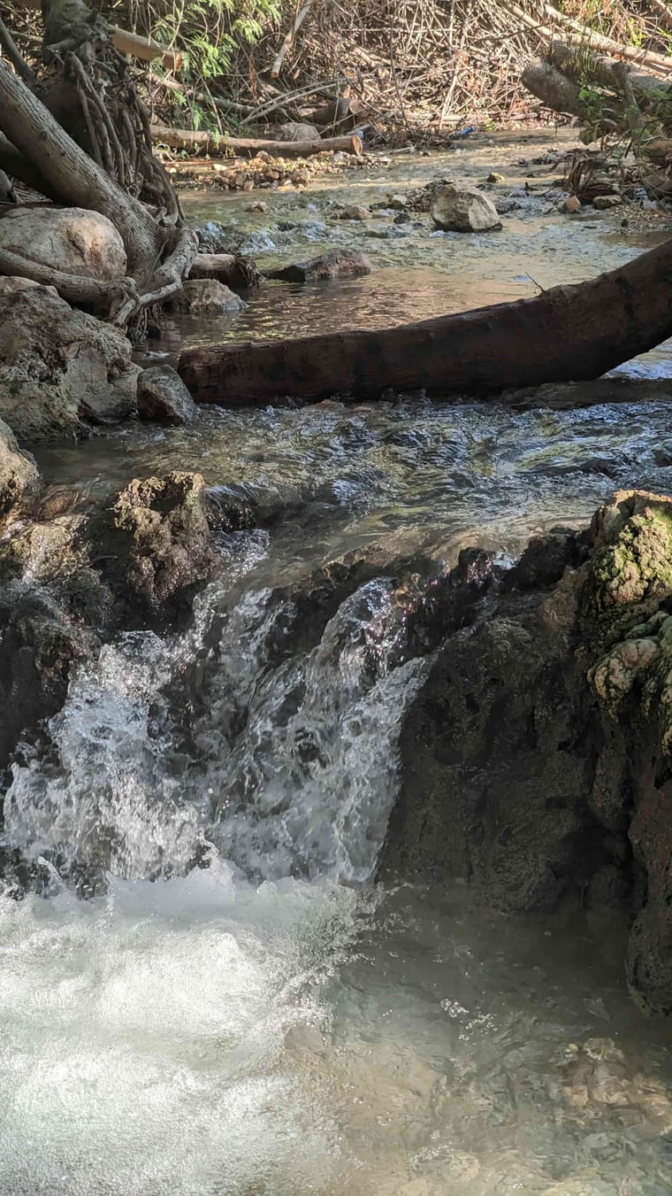 עמק המעיינות 15.jpg