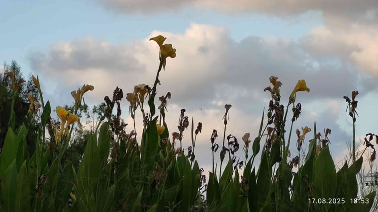 פארק הרצליה 8.jpg