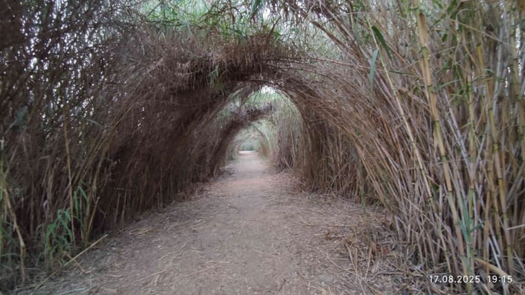 פארק הרצליה 11.jpg