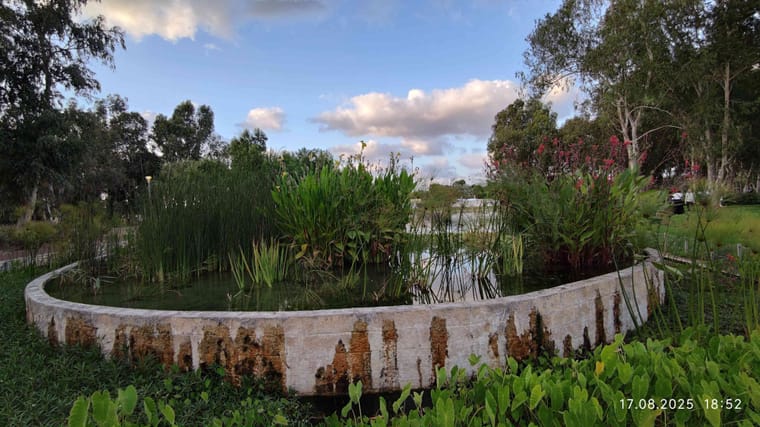 פארק הרצליה 7.jpg