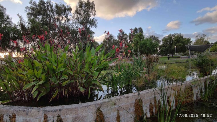 פארק הרצליה 5.jpg