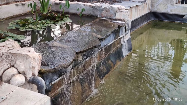 פארק הרצליה 9.jpg