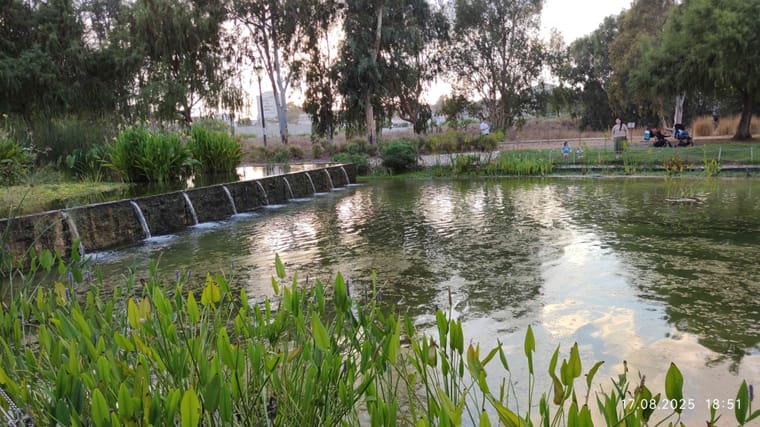 פארק הרצליה 1.jpg