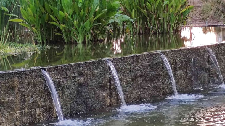 פארק הרצליה 3.jpg