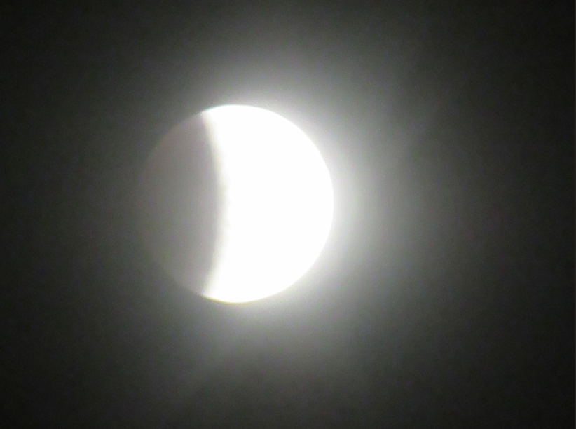 צילום מסך 2025-09-07 205051.png