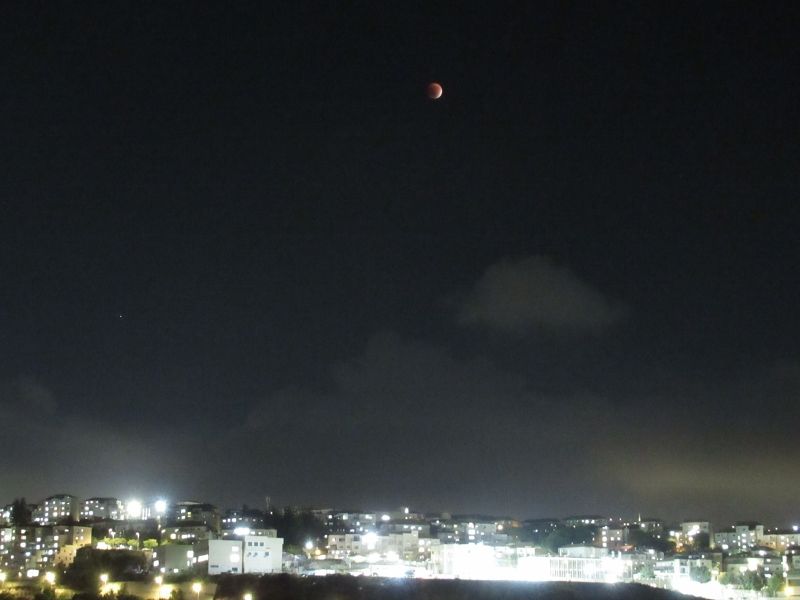 IMG_3206 (800x600).jpg