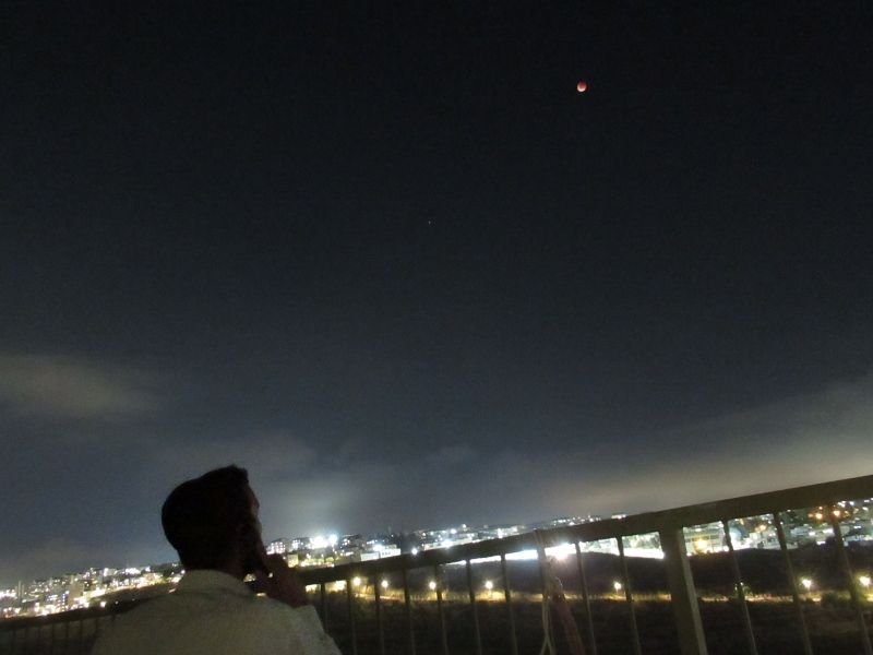 IMG_3208 (800x600).jpg