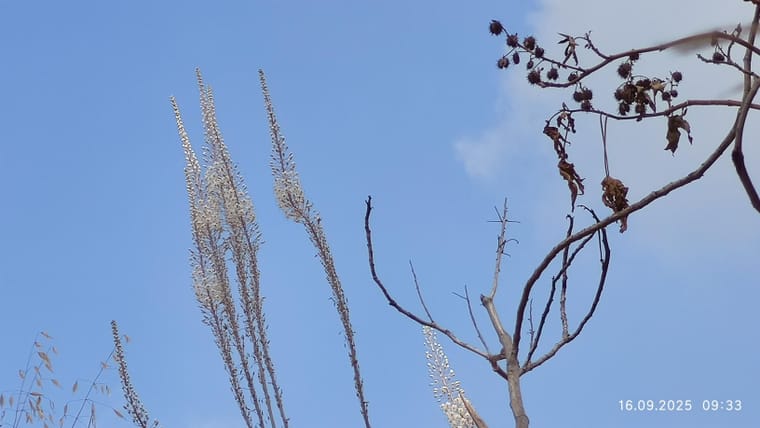 img_20250916_093331_optimized (1).jpg