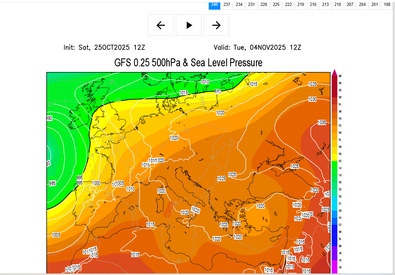 צילום מסך 2025-10-25 222417.png