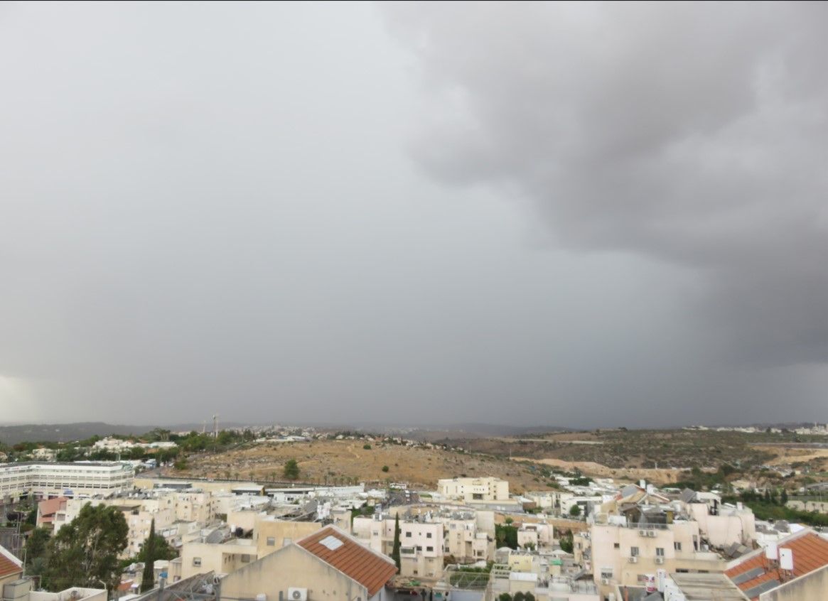 83413737-c941-470a-b451-332033063d60-צילום מסך 2025-11-16 144129.jpg