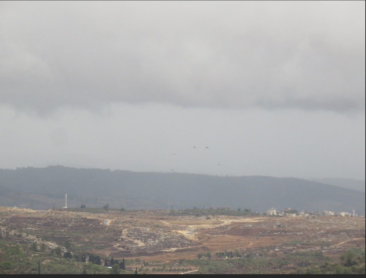 צילום מסך 2025-11-16 145544.jpg