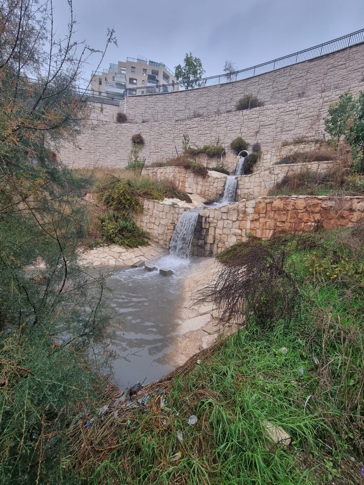 WhatsApp Image 2025-12-11 at 13.00.42.jpeg