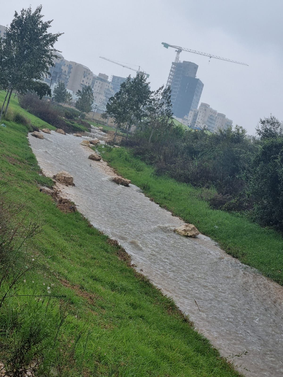 WhatsApp Image 2025-12-11 at 13.00.45.jpeg