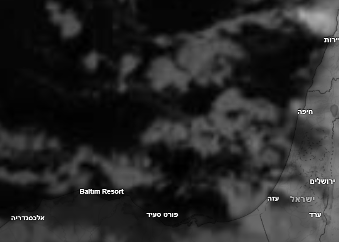 צילום מסך 2025-12-11 235444.png