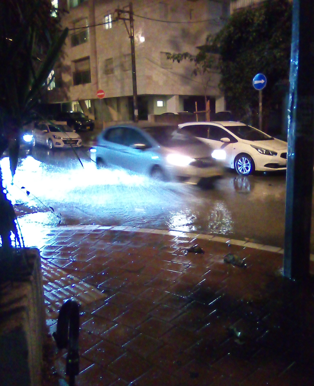 צילום מסך 2025-12-15 180832.png