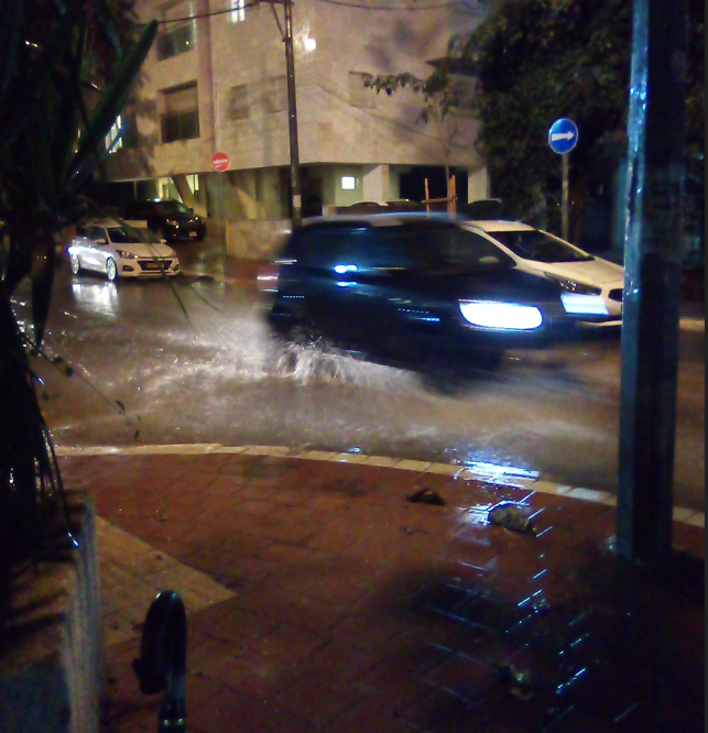 צילום מסך 2025-12-15 180838.png