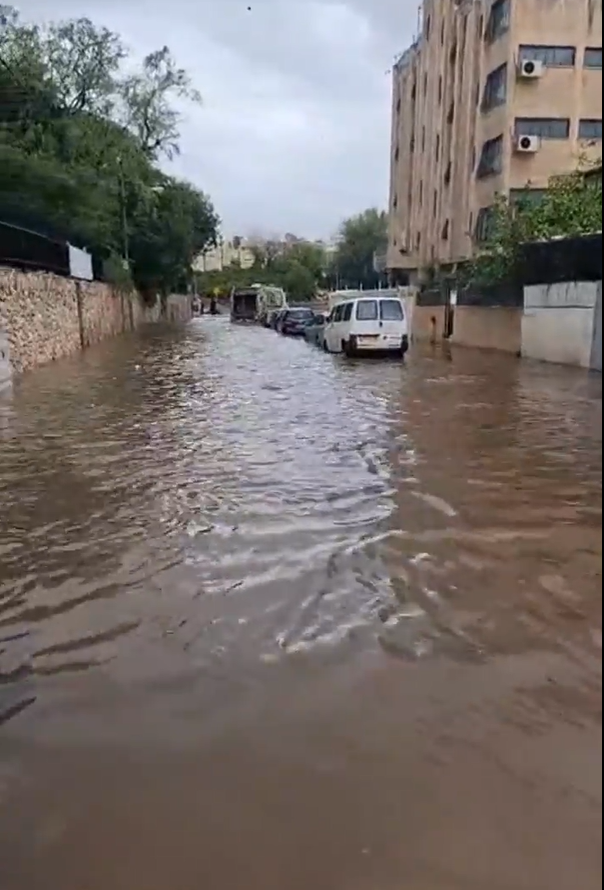 צילום מסך 2025-12-29 145304.png