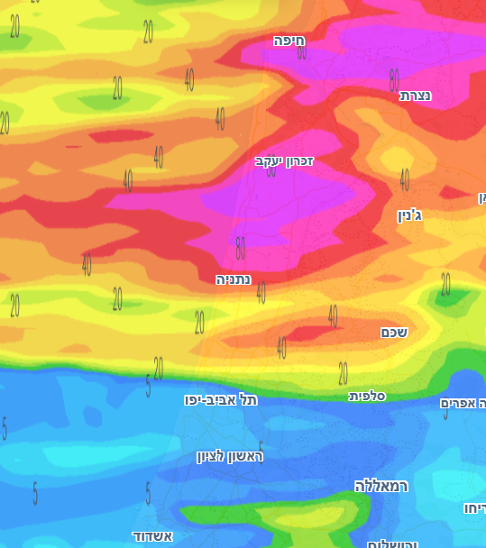 צילום מסך 2025-12-30 161511.png