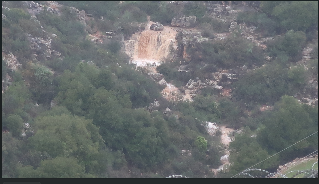 צילום מסך 2026-01-01 180021.png