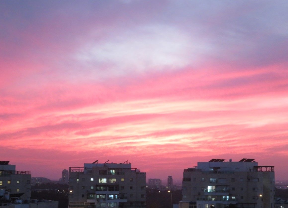 צילום מסך 2026-01-04 172600.jpg