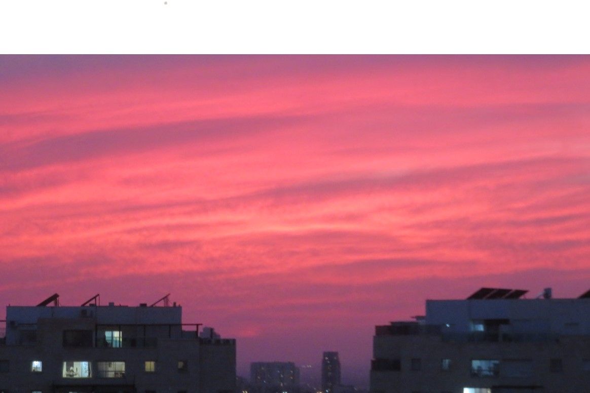 צילום מסך 2026-01-04 172702.jpg