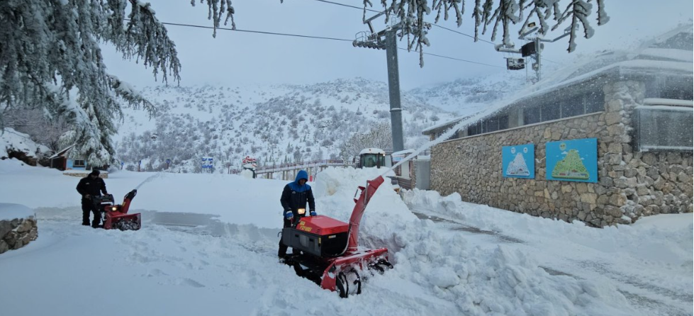 צילום מסך 2026-01-14 224926.png