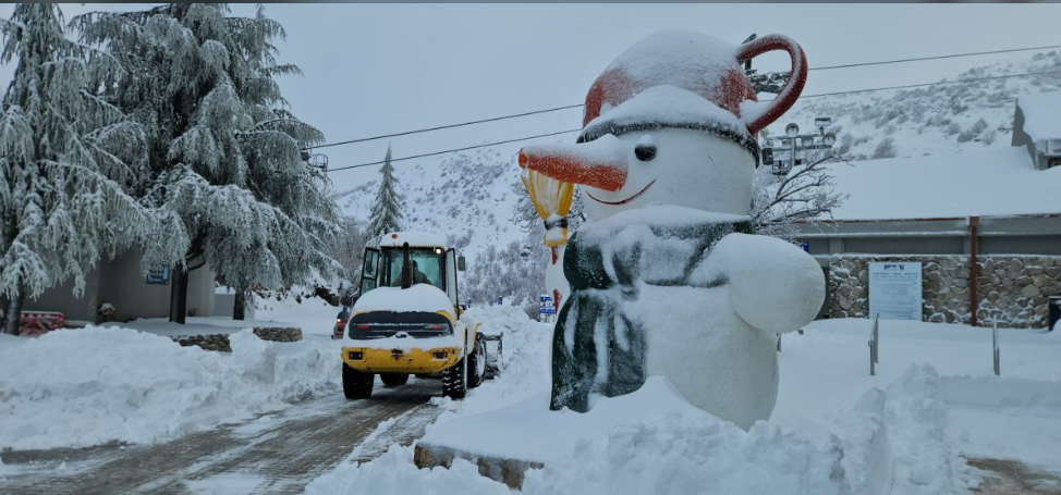 צילום מסך 2026-01-14 224934.png