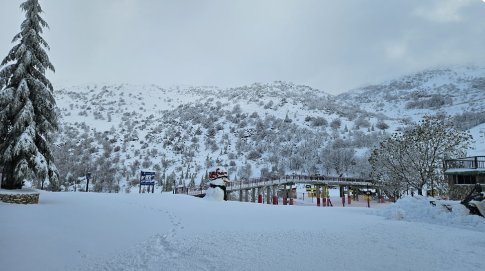 צילום מסך 2026-01-14 224948.png