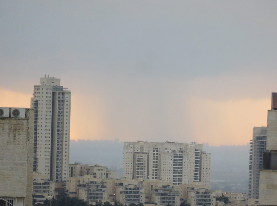 צילום מסך 2026-01-18 170526.jpg