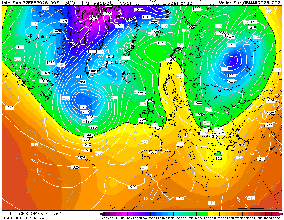 לפורים בבוקר.png