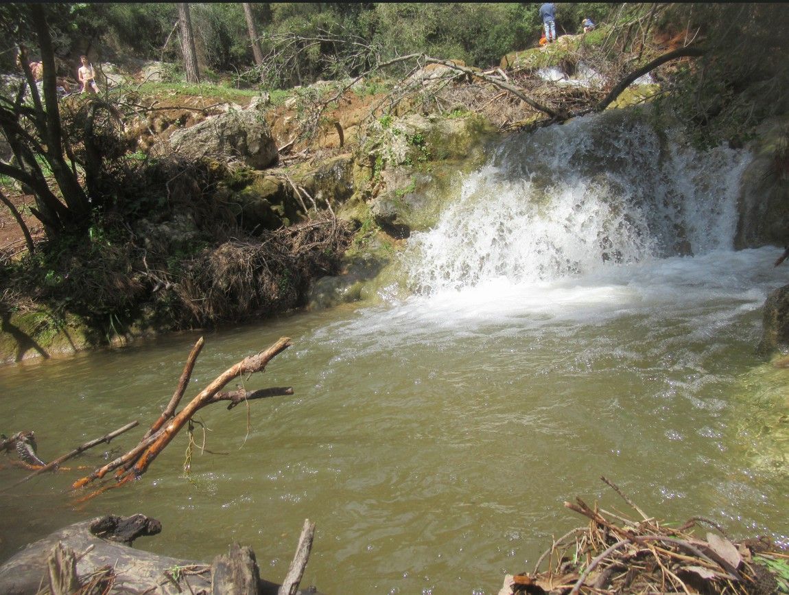 3d3fef8c-f00a-4131-97d0-44b959f8ac9b-צילום מסך 2026-03-29 140815.jpg