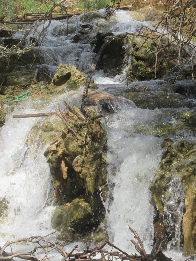 8d0b5726-aa2b-47ac-84a2-259d2c87d1c3-צילום מסך 2026-03-29 140739.jpg