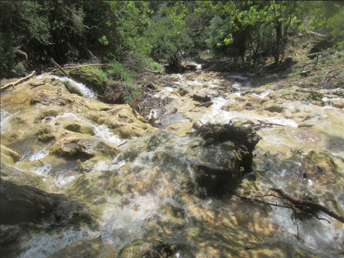 ace8b9be-0d91-431f-9c0e-04e3243d252d-צילום מסך 2026-03-29 140928.jpg