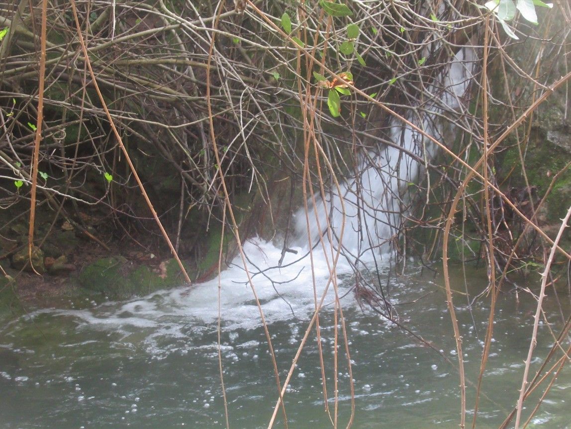 78dd39ca-aea2-4397-8690-1ee225349ddb-צילום מסך 2026-03-29 141202.jpg