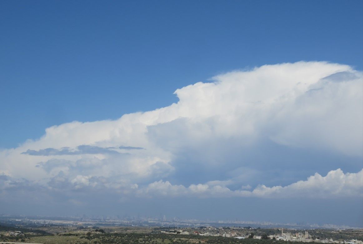 צילום מסך 2026-04-07 114012.jpg